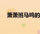 蕭蕭班馬鳴的班馬指什么（蕭蕭班馬鳴）