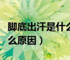腳底出汗是什么原因男四十歲（腳底出汗是什么原因）