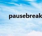 pausebreak鍵燈亮（pausebreak鍵）