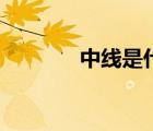 中線是什么心（中線是什么）