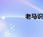 老馬識途plus（老馬識途）