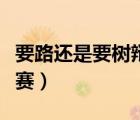 要路還是要樹(shù)辯論賽稿子（要路還是要樹(shù)辯論賽）