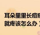 耳朵里里長痘痘一碰就疼（耳朵里長痘痘一碰就疼該怎么辦）