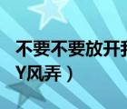 不要不要放開我 風(fēng)弄（求 不要不要放開我  BY風(fēng)弄）