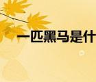 一匹黑馬是什么意思（黑馬是什么意思）
