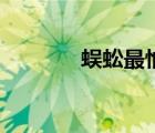 蜈蚣最怕什么（蚊子的天敵）