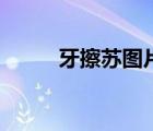 牙擦蘇圖片（牙擦蘇是什么意思）