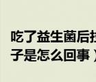 吃了益生菌后拉肚子是怎么回事（胃疼還拉肚子是怎么回事）