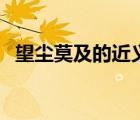 望塵莫及的近義詞（望塵莫及是什么意思）