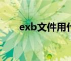 exb文件用什么軟件打開（exb文件）