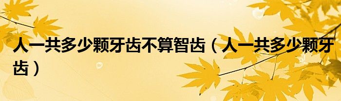 人一共多少顆牙齒不算智齒（人一共多少顆牙齒）