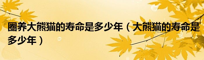圈養(yǎng)大熊貓的壽命是多少年（大熊貓的壽命是多少年）
