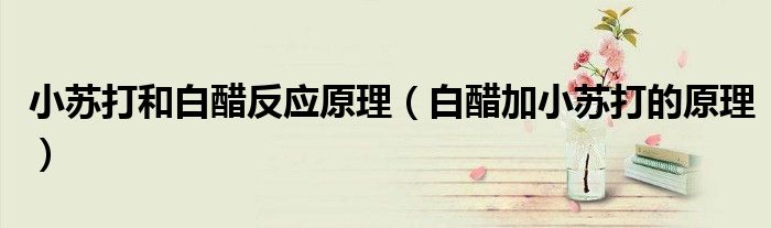 小蘇打和白醋反應(yīng)原理（白醋加小蘇打的原理）