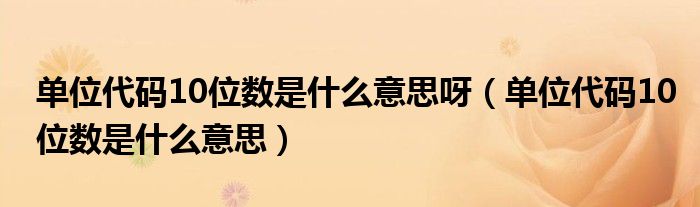 單位代碼10位數(shù)是什么意思呀（單位代碼10位數(shù)是什么意思）