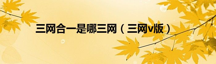 三網(wǎng)合一是哪三網(wǎng)（三網(wǎng)v版）