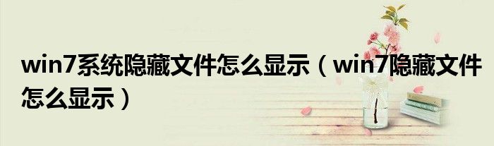 win7系統(tǒng)隱藏文件怎么顯示（win7隱藏文件怎么顯示）