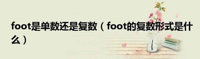 foot是單數(shù)還是復(fù)數(shù)（foot的復(fù)數(shù)形式是什么）