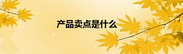 產(chǎn)品賣點(diǎn)是什么