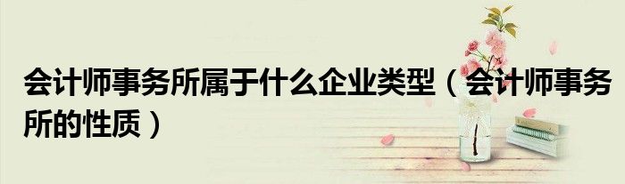會計師事務所屬于什么企業(yè)類型（會計師事務所的性質）