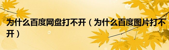 為什么百度網(wǎng)盤打不開（為什么百度圖片打不開）