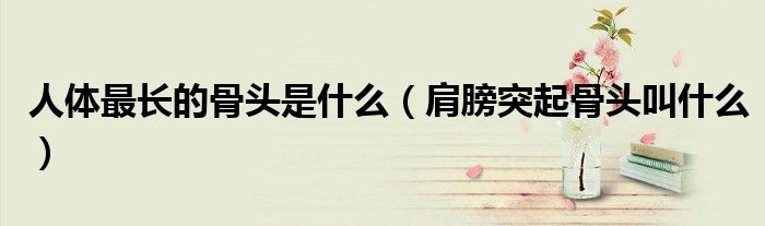人體最長(zhǎng)的骨頭是什么（肩膀突起骨頭叫什么）