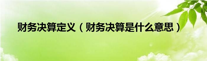 財務(wù)決算定義（財務(wù)決算是什么意思）