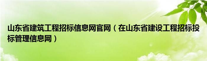 山東省建筑工程招標(biāo)信息網(wǎng)官網(wǎng)（在山東省建設(shè)工程招標(biāo)投標(biāo)管理信息網(wǎng)）