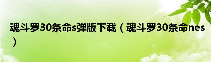 魂斗羅30條命s彈版下載（魂斗羅30條命nes）