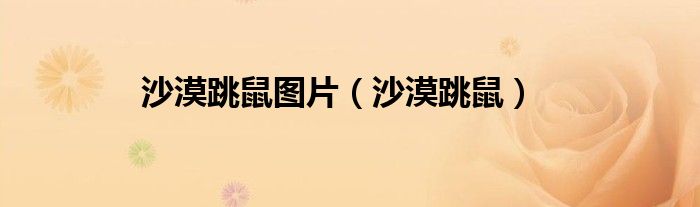 沙漠跳鼠圖片（沙漠跳鼠）