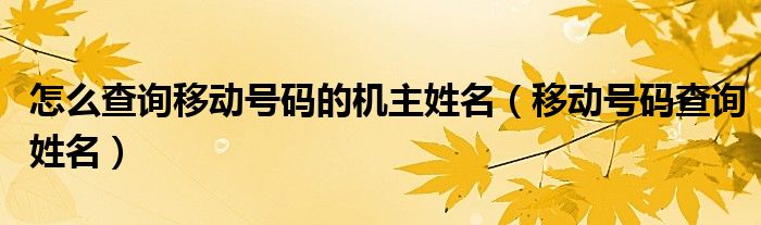 怎么查詢移動(dòng)號碼的機(jī)主姓名（移動(dòng)號碼查詢姓名）