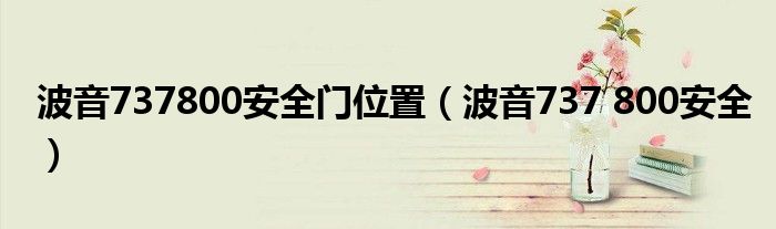 波音737800安全門位置（波音737 800安全）