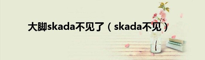 大腳skada不見(jiàn)了（skada不見(jiàn)）