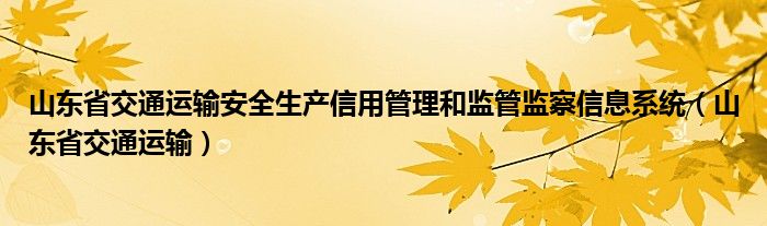 山東省交通運輸安全生產(chǎn)信用管理和監(jiān)管監(jiān)察信息系統(tǒng)（山東省交通運輸）