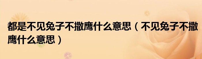 都是不見兔子不撒鷹什么意思（不見兔子不撒鷹什么意思）