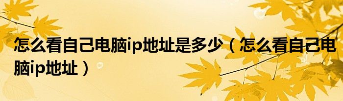 怎么看自己電腦ip地址是多少（怎么看自己電腦ip地址）