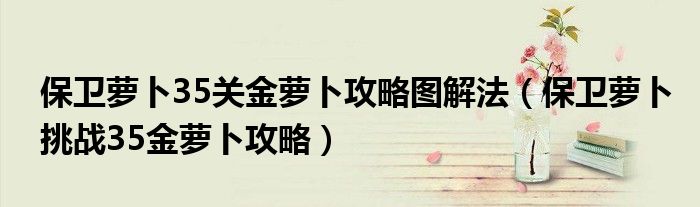 保衛(wèi)蘿卜35關(guān)金蘿卜攻略圖解法（保衛(wèi)蘿卜挑戰(zhàn)35金蘿卜攻略）