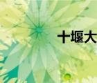 十堰大學單招（十堰大學）