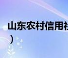 山東農(nóng)村信用社登陸（山東省農(nóng)村信用社登錄）