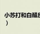 小蘇打和白醋反應(yīng)原理（白醋加小蘇打的原理）