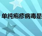 單純皰疹病毒是什么?。▎渭儼捳畈《靖腥荆?/>
                                    </a>
                                                </div>
                                    <div   id=