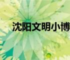 沈陽文明小博客網(wǎng)址（沈陽文明小博客）