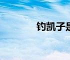 釣凱子是哪里方言（釣凱子）