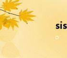 sis系統(tǒng)（sis exe）
