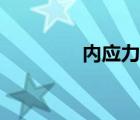 內應力什么意思（內應力）