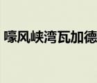 嚎風(fēng)峽灣瓦加德不能飛行（嚎風(fēng)峽灣瓦加德）