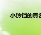 小鈴鐺的真名叫什么（小鈴鐺的真名）