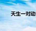天生一對動漫16集（天生一對動漫）