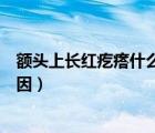 額頭上長紅疙瘩什么原因一摸就疼（額頭上長紅疙瘩什么原因）