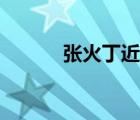 張火丁近況如何（張火丁近況）