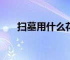 掃墓用什么花最好看（掃墓用什么花）